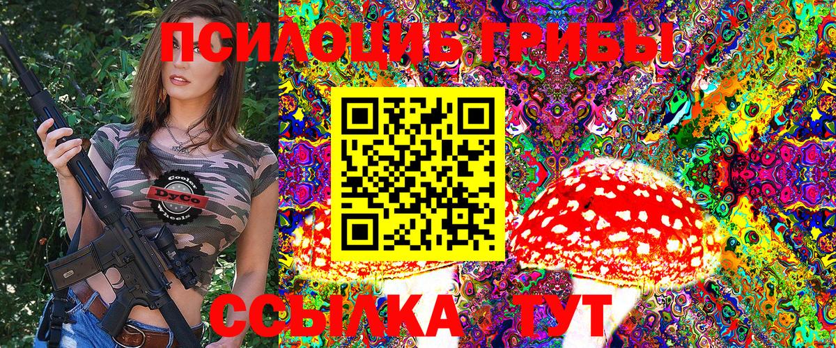 Галлюциногенные грибы GOLDEN TEACHER Михайловск