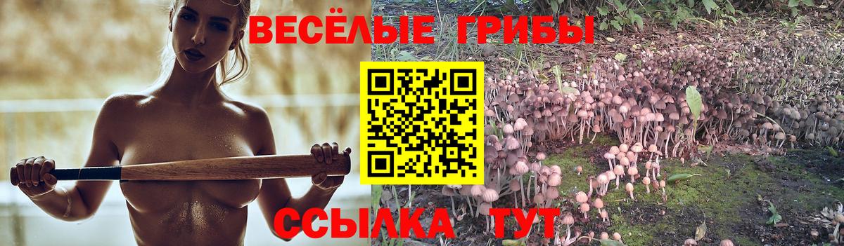 Михайловск  Вейп ТГК  НБОМе  Мефедрон   Вход с VPN  Cocaine  ГАШИШ 